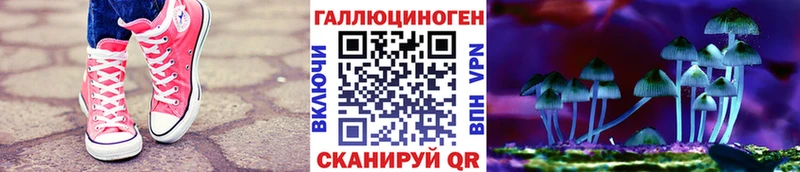 где можно купить наркотик  Красноярск  Псилоцибиновые грибы Magic Shrooms 